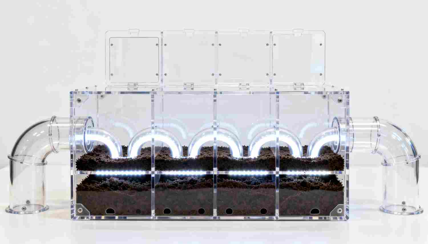 Kit fourmilière creusable