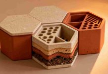 Kit fourmilière creusable : solution ludique pour enfants Kit fourmilière creusable