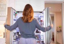 Mon frigo ne refroidit plus mais le moteur tourne : panne grave ? mon frigo ne refroidit plus mais le moteur tourne