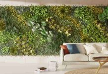 Mur végétalisé Bordeaux : idées déco naturelles tendance mur végétalisé bordeaux