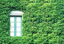 Mur végétalisé Bordeaux : combien ça coûte en 2026 ? mur végétalisé Bordeaux