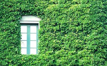 Mur végétalisé Bordeaux : combien ça coûte en 2026 ? mur végétalisé Bordeaux