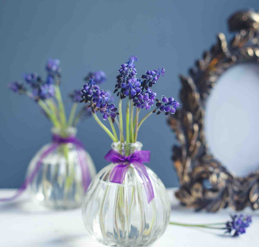boutures lilas des indes boutures lilas des indes