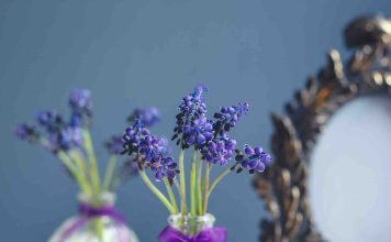 Boutures lilas des Indes : quelle est la meilleure méthode ? boutures lilas des indes